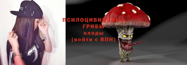 ГАЛЛЮЦИНОГЕННЫЕ ГРИБЫ Гусиноозёрск