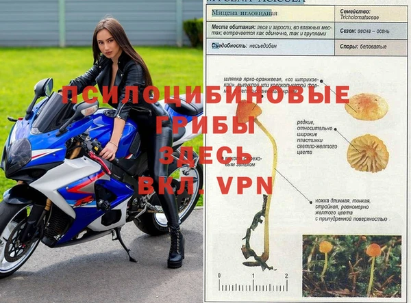 метадон Гусев
