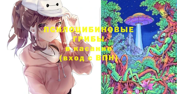 ГАЛЛЮЦИНОГЕННЫЕ ГРИБЫ Гусиноозёрск